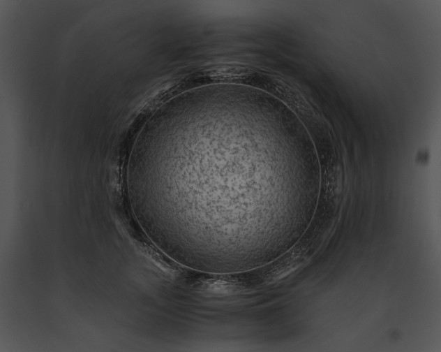 X0000091650755200708301418