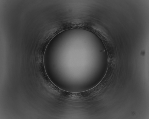 X0000091650756200708301418