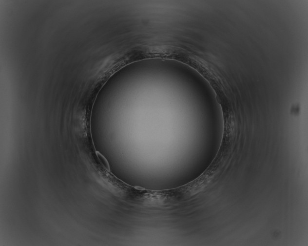 X0000091650764200708301418
