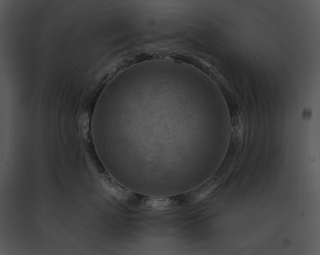 X0000091650767200708301418