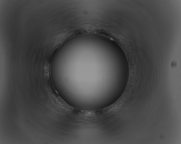 X0000091650768200708301418