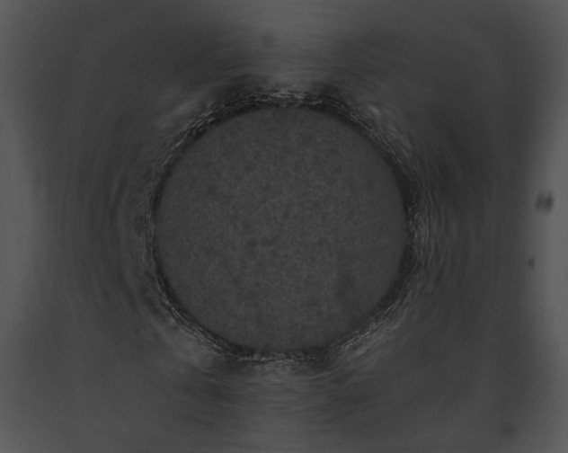 X0000091650769200708301418