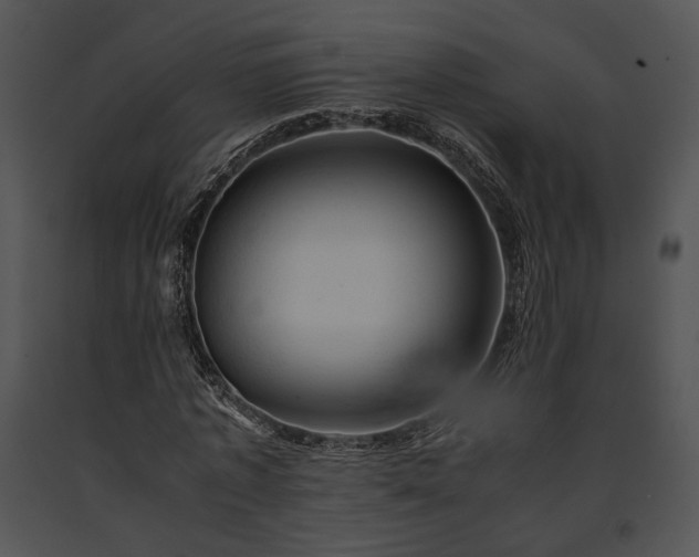 X0000091650773200708301418