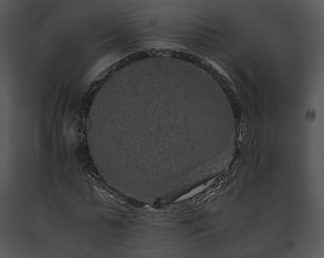 X0000091650775200708301418