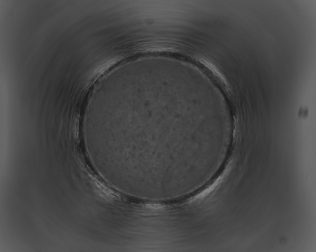 X0000091650777200708301418