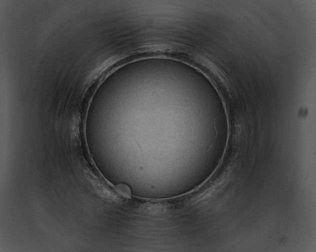 X0000091650778200708301418