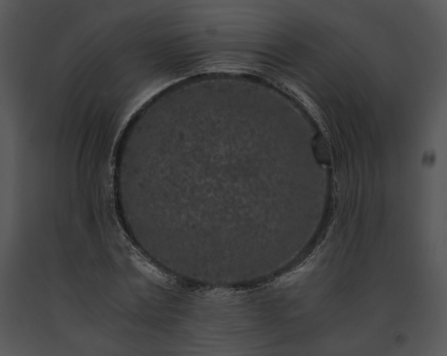 X0000091650779200708301418