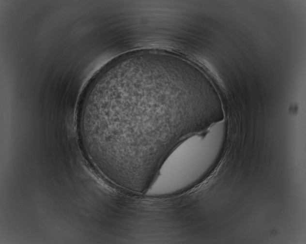 X0000091650780200708301418