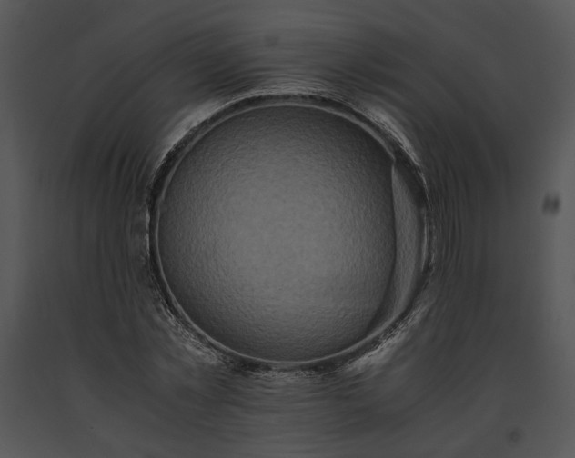 X0000091650781200708301418