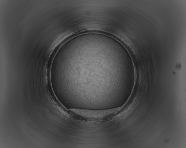 X0000091650782200708301418