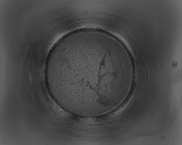 X0000091650783200708301418