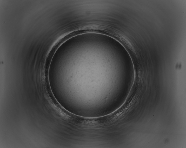 X0000091650784200708301418
