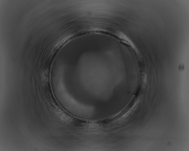 X0000091650785200708301418