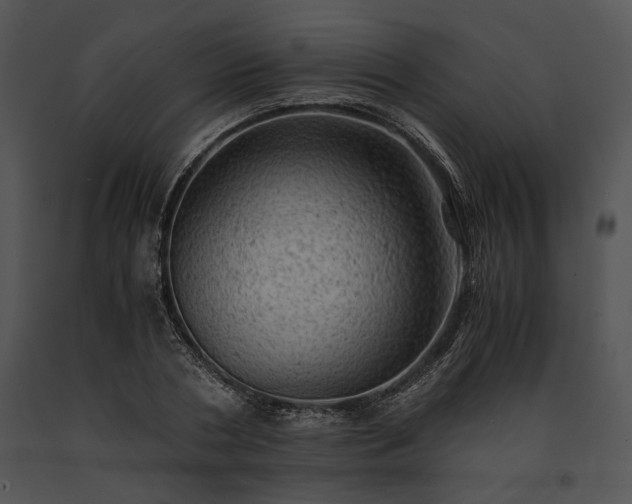X0000091650786200708301418