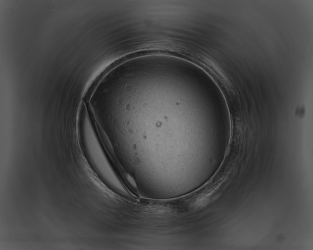 X0000091650788200708301418