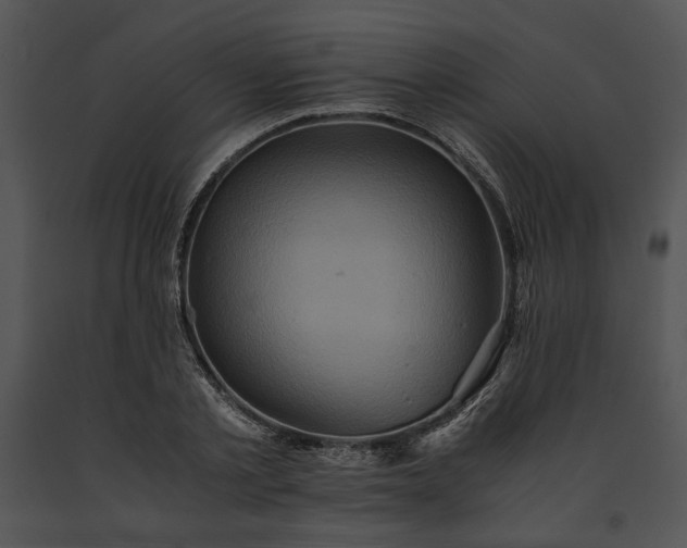 X0000091650789200708301418