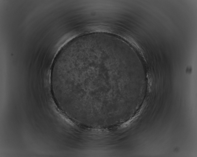 X0000091650790200708301418