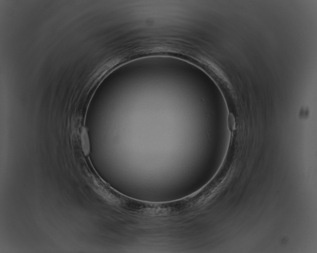 X0000091650793200708301417