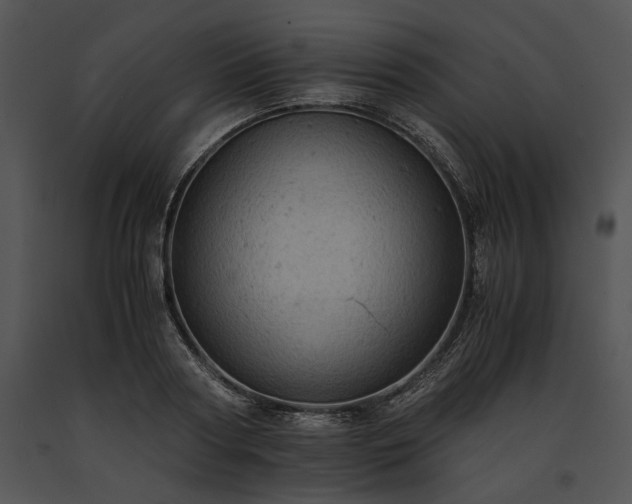 X0000091650794200708301417