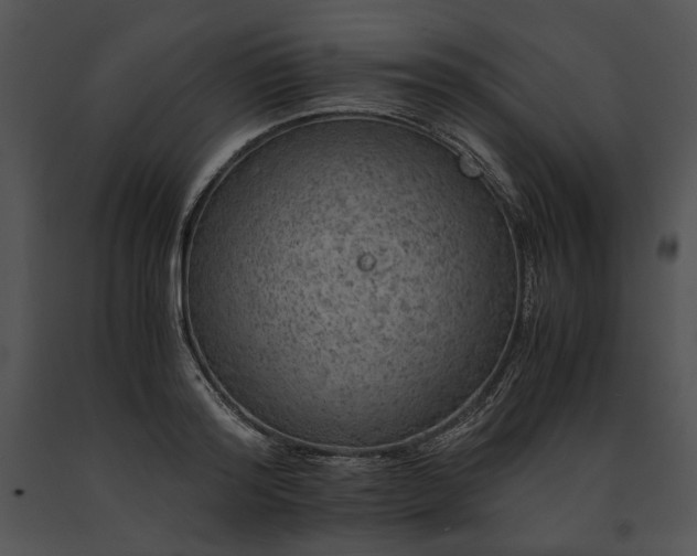 X0000091650796200708301417