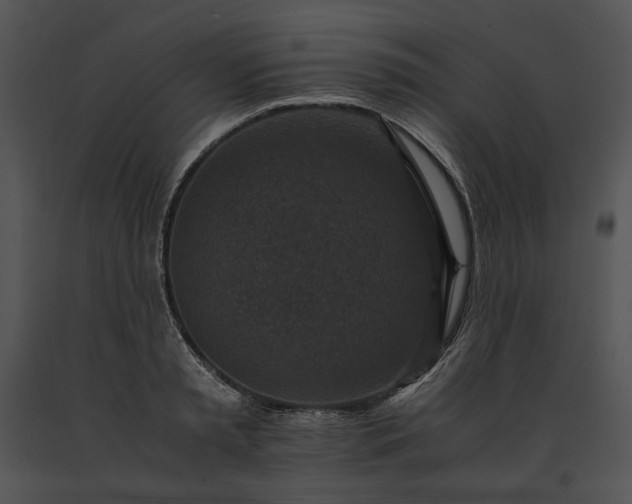 X0000091650797200708301417