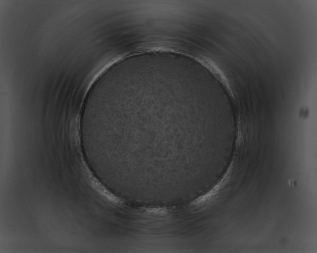 X0000091650798200708301417