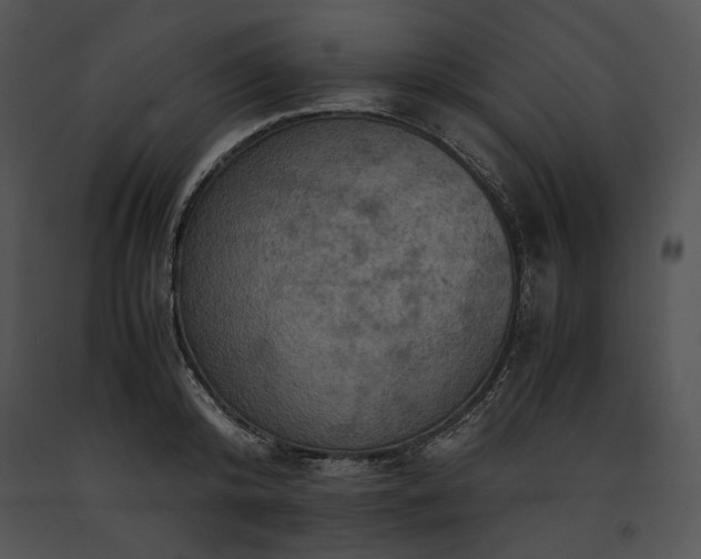 X0000091650800200708301417