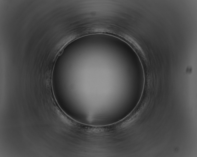 X0000091650801200708301417