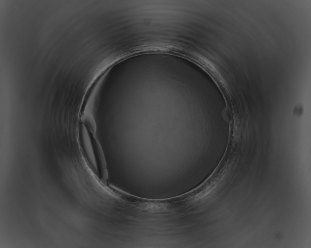 X0000091650802200708301417