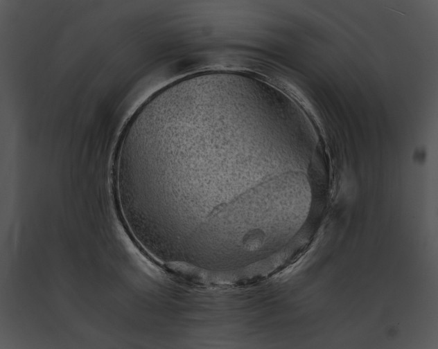 X0000091650803200708301417