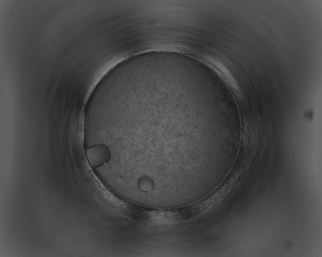 X0000091650804200708301417