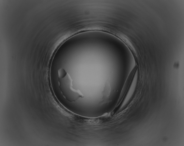 X0000091650805200708301417