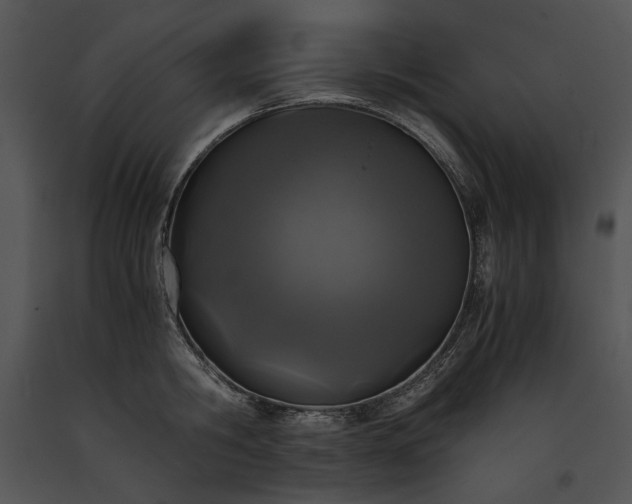 X0000091650806200708301417