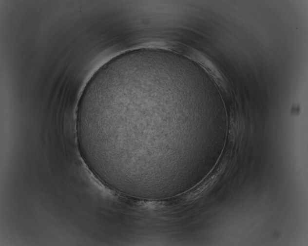 X0000091650808200708301417