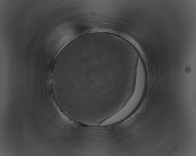 X0000091650809200708301417