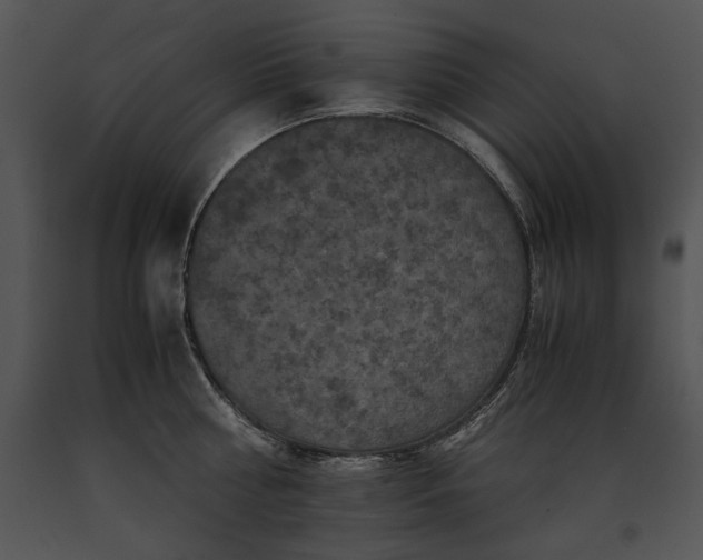 X0000091650810200708301417