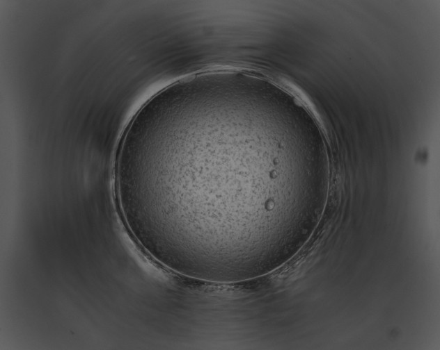 X0000091650811200708301417