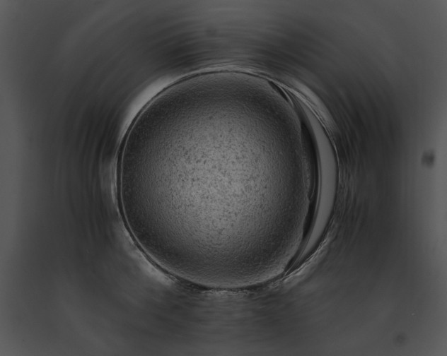 X0000091650812200708301417