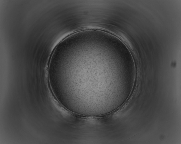 X0000091650814200708301417
