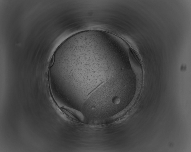 X0000091650816200708301417