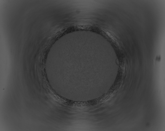 X0000091650817200708301417