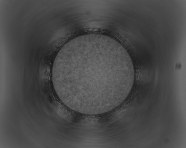 X0000091650820200708301417