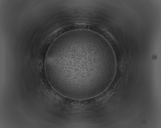 X0000091650821200708301417