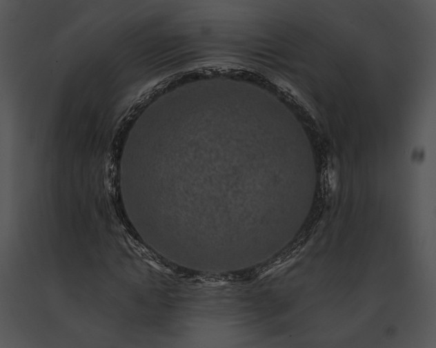 X0000091650822200708301417