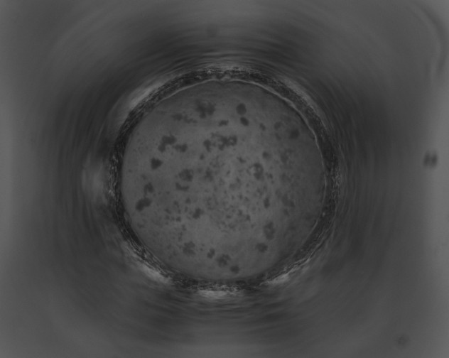 X0000091650823200708301417