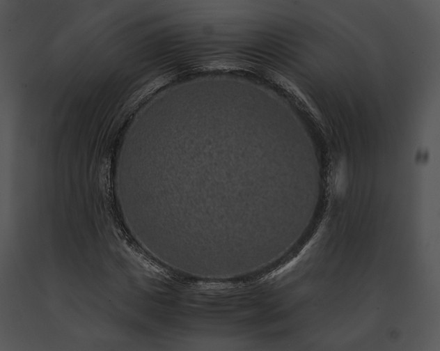 X0000091650825200708301417