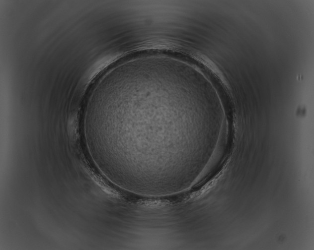 X0000091650826200708301417