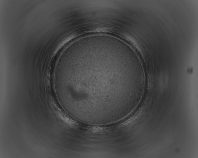X0000091650827200708301417