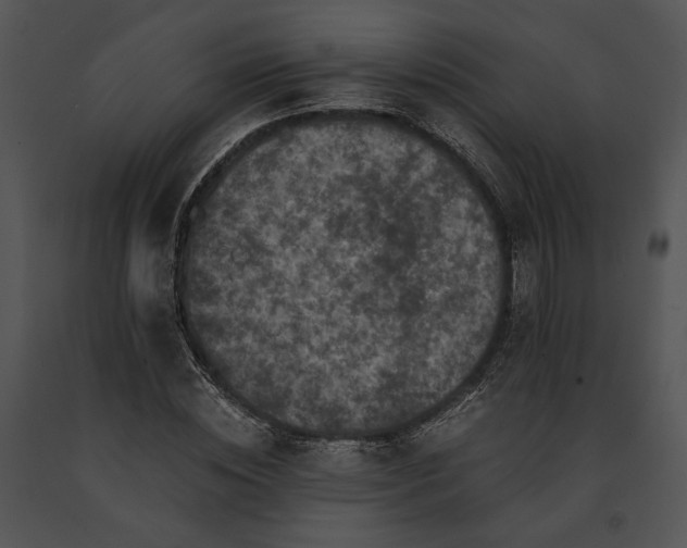 X0000091650828200708301417