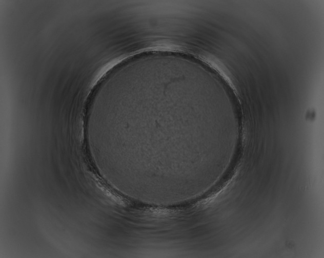X0000091650829200708301417